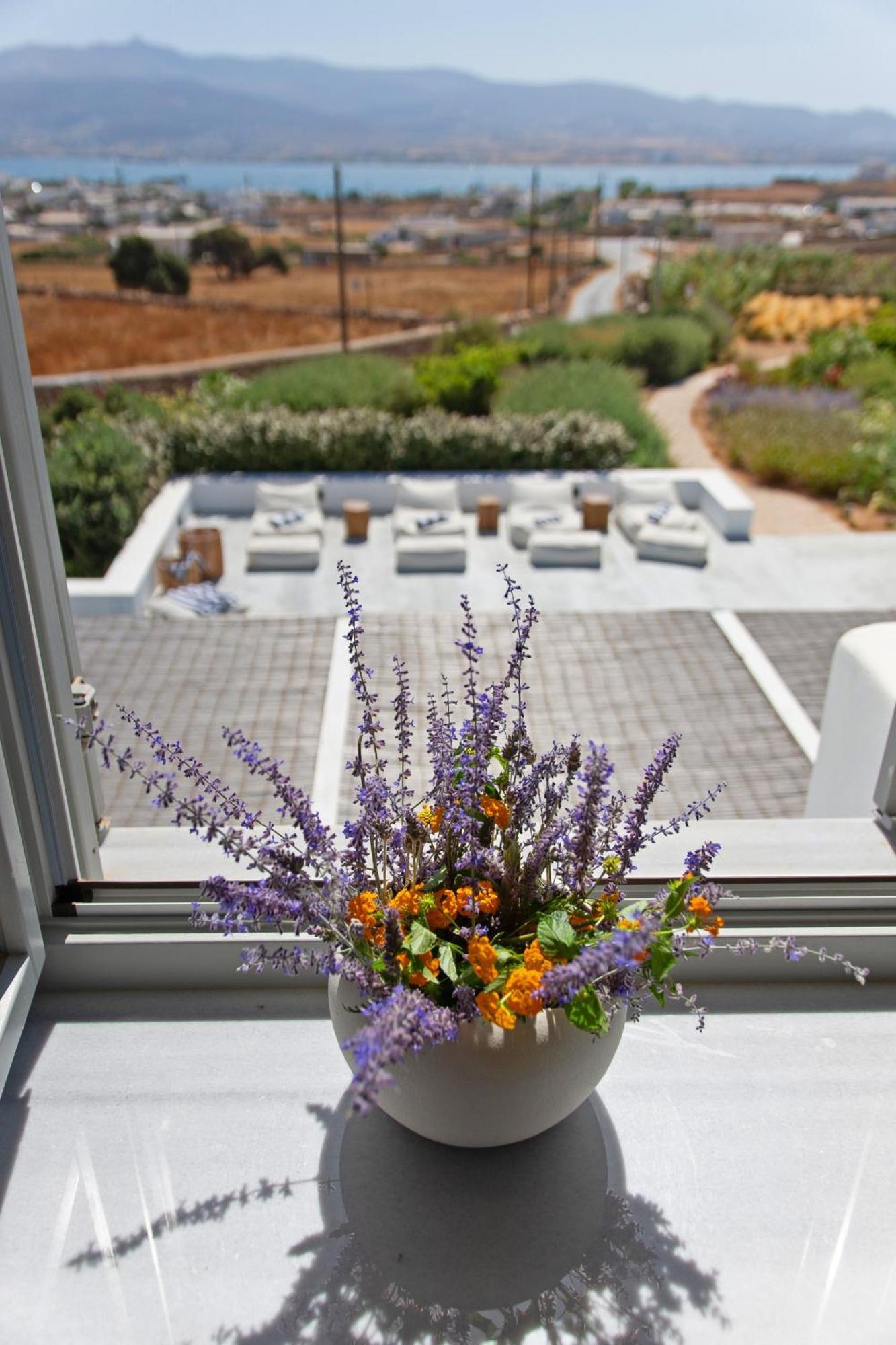 Dreamy 5 Bdr Antiparos Pool Villa Экстерьер фото